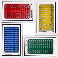 Los mejores  - 48pcs Kids plástico Microscopio preparado diapositivas de animales insectos Plantas Flores muestra especies para…